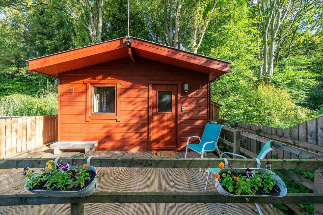 뉴스콘 Cabin In The Den 빌라 외부 사진